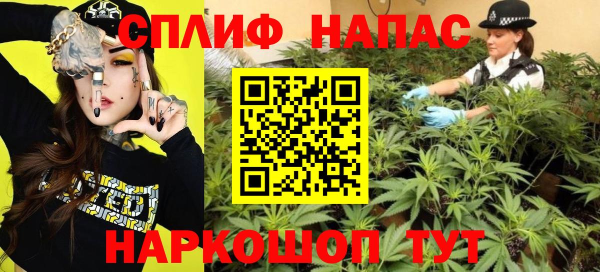 Бошки Шишки тримм Вышний Волочёк